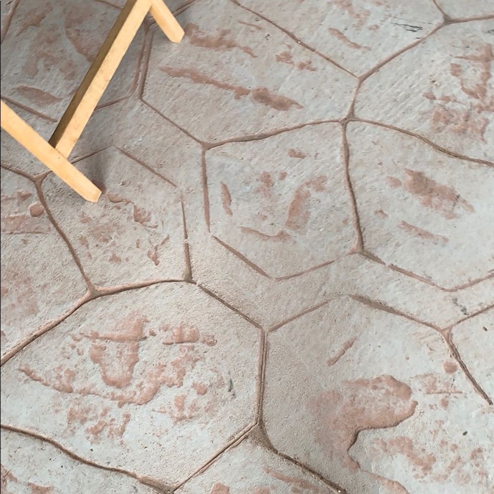 Meet your Posher, Felix